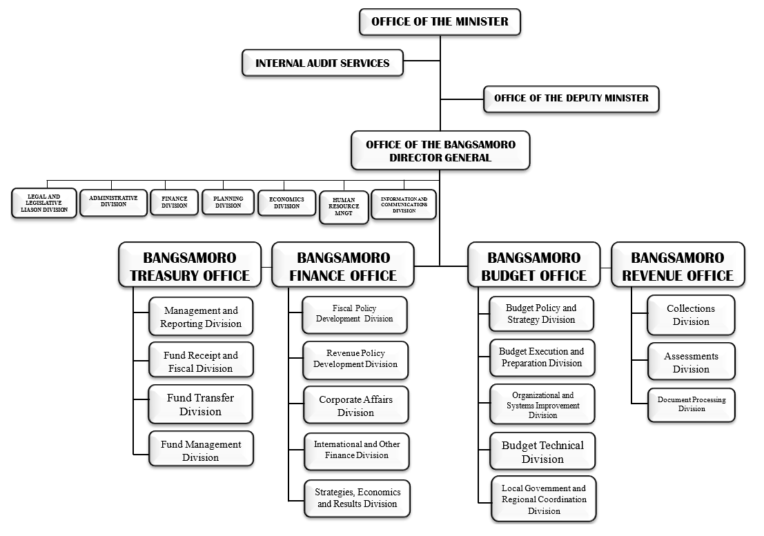 MFBM-Organizational-Structure